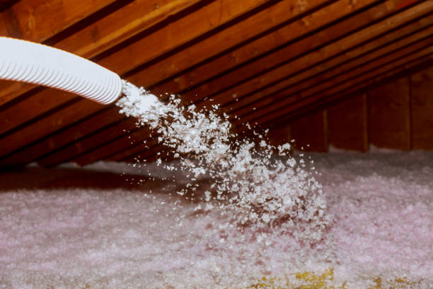 Best Specialized Insulation Services in Florin, CA