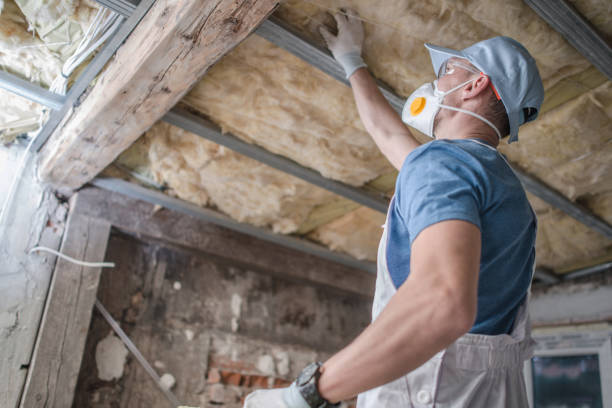Best Cellulose Insulation in Florin, CA